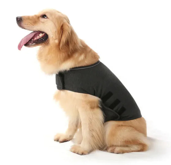 Anxiety Relief Pet Vest