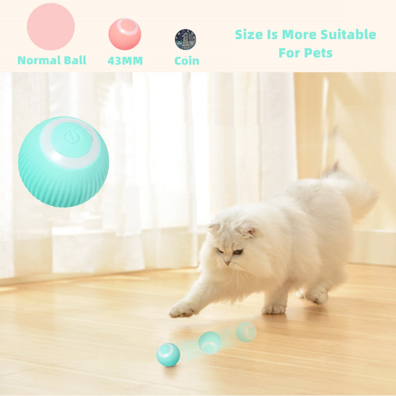 Smart Ball Toy