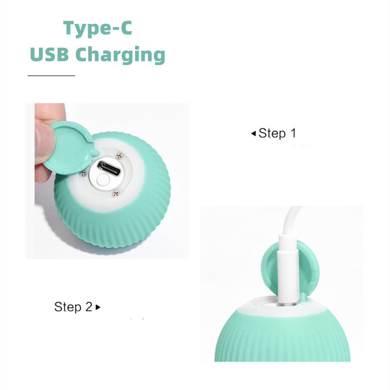 Smart Ball Toy