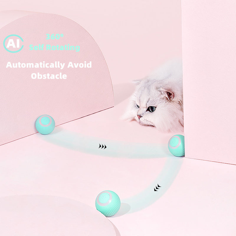 Smart Ball Toy