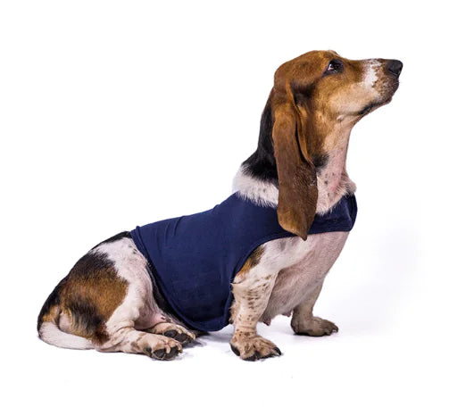 Anxiety Relief Pet Vest