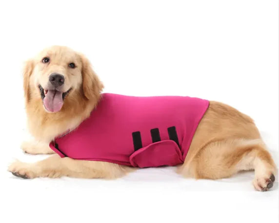 Anxiety Relief Pet Vest