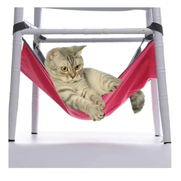 Cute Cat Hammock