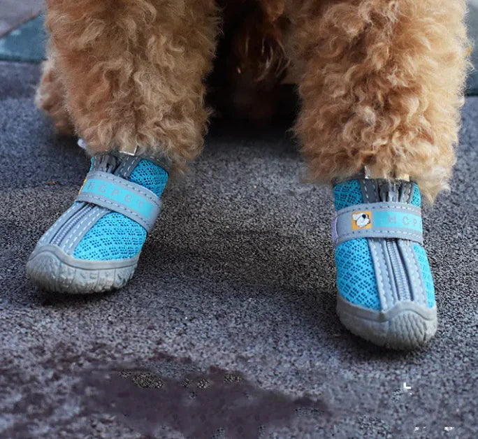 Adorable Outdoor Pet Shoes