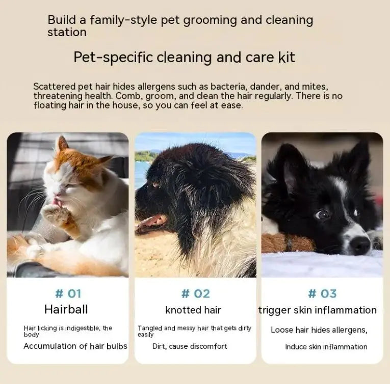 Multifunctional Household Pet Hair Remover