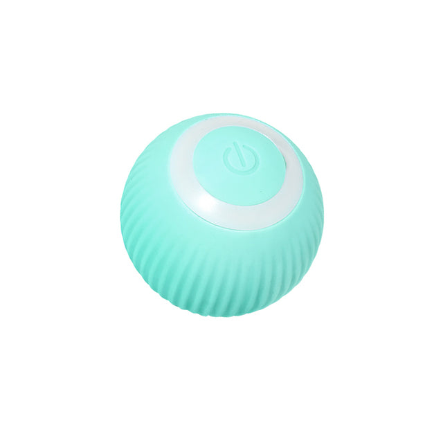 Smart Ball Toy