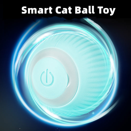 Smart Ball Toy