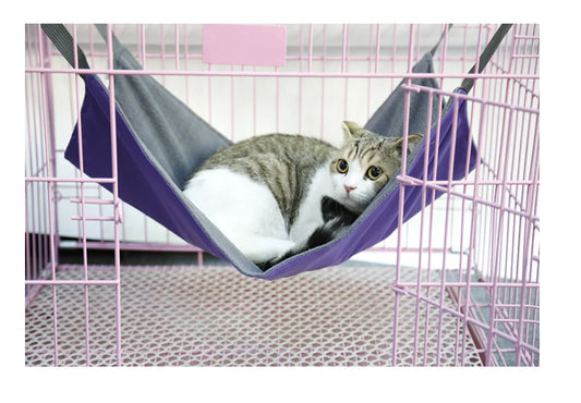 Cute Cat Hammock
